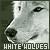 :iconwhitewolf9599: