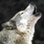 :iconWhitewolfAngel16: