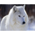 :iconwhitewolfcreations:
