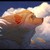 :iconwhitey777: