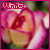 :iconwhittikers: