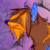 :iconwhocrysforthestars: