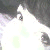 :iconwhoresp: