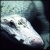 :iconwhorlography:
