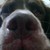 :iconwhowatson: