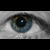 :iconwhtdragon: