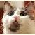 whutcatplz :iconwhutcatplz: