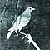 :iconwhycantifly: