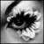 :iconwhygirl93: