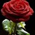 :iconwhynotgothere: