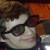 :iconwhysooserious: