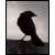 :iconwhyte-spectre: