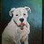 :iconwhyteboxer:
