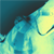 :iconwi77ler: