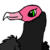 :iconwianaws: