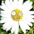 :iconwibblywobblystuff: