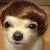 :iconwicabethspartner8d: