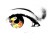 :iconwiccangal50: