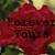 :iconwiccanwolfsrose: