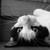 :iconwicked-nurse: