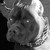 :iconwickedhiggins: