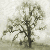 :iconwickedmagic: