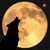 :iconwickedmoonspirit: