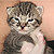 :iconwickedphotography: