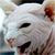 :iconwickedskill: