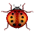 :iconwickedwhichwitch: