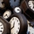 widdendreams :iconwiddendreams: