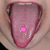 widdlecat :iconwiddlecat: