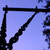 :iconwideawaketonight: