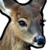 :iconwideeyeddoe: