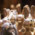 :iconwidescopes: