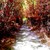 :iconwido-asulf: