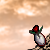 :iconwielded: