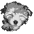 :iconwieselhead:
