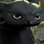 :iconwikigiuli: