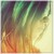 :iconwiksa:
