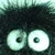 :iconwikted: