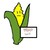 :iconwilcorn: