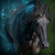 :iconwild-catt: