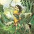 :iconwild-child-run: