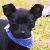 :iconWild-Destiny: