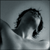 :iconwild-dream: