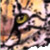 wild-forest-creature :iconwild-forest-creature: