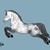 :iconwild-spirit12: