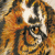 :iconwild-winter: