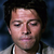 :iconwild-wolf-soul-2709: